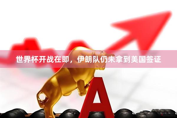 世界杯开战在即,伊朗队仍未拿到美国签证