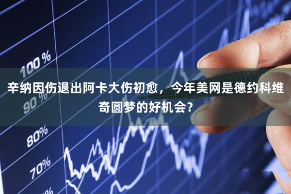 辛纳因伤退出阿卡大伤初愈，今年美网是德约科维奇圆梦的好机会？